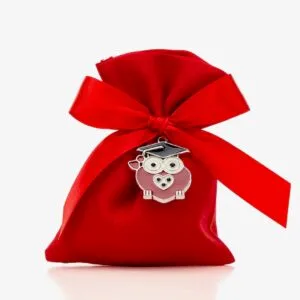 Sacchetto laurea con gufo Cuorematto D6760