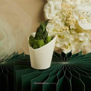 Vasetto bianco cuore con piantina grassa Claraluna 26011