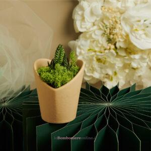 Vasetto marrone con piantina grassa Claraluna 26012