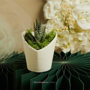 Vasetto bianco cuore con piantina grassa Claraluna 26013