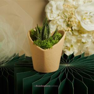 Vasetto marrone cuore con piantina grassa Claraluna 26014