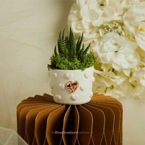 Vasetto cuoricini con applicazione in oro rosa e piantina grassa Claraluna 26281