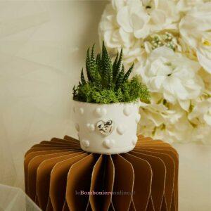 Vasetto cuoricini con applicazione cuore in silver e piantina grassa Claraluna 26282