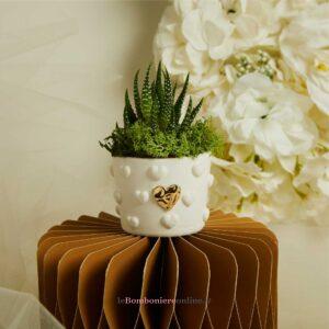 Vasetto cuoricini con applicazione cuore oro e piantina grassa Claraluna 26283